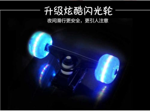 Skateboard pour homme femme enfant HINONO - Ref 2601482