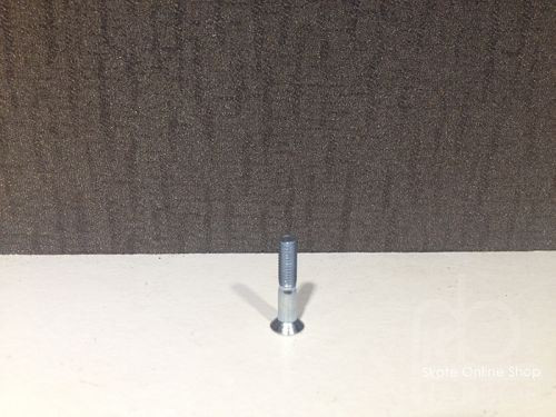 Skateboard - Ref 2601500
