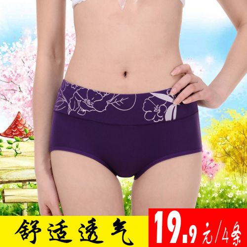 Slip jeunesse en coton - Ref 639431