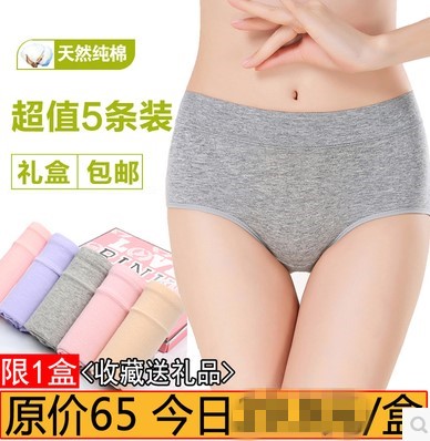  Slip en coton - Ref 639594
