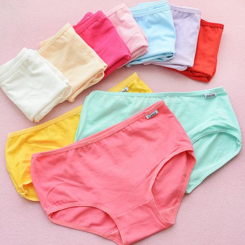 Slip en coton - Ref 639724