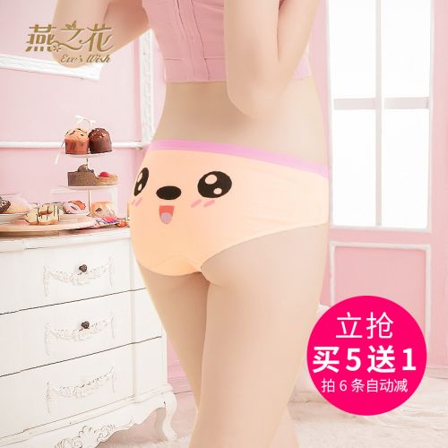  Slip jeunesse EVES WISH en coton - Ref 640133