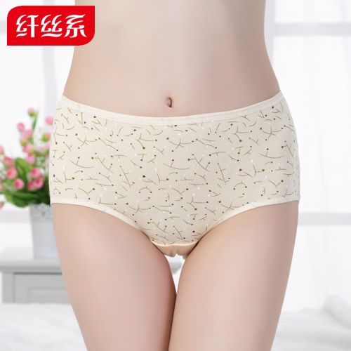 Slip en coton - Ref 640628