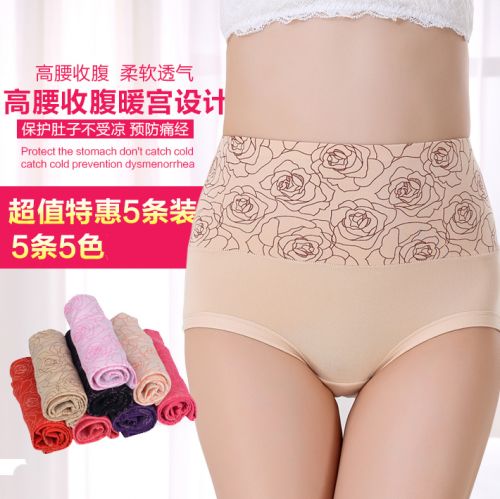 Slip en coton - Ref 640636