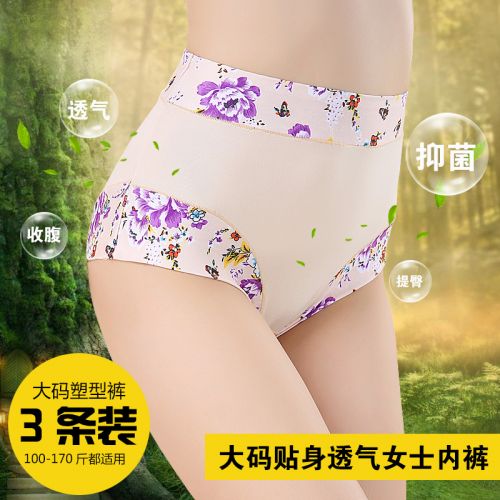  Slip Moyen-âge en coton - Ref 640691