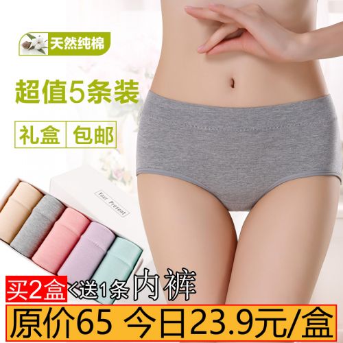  Slip jeunesse en coton - Ref 640867
