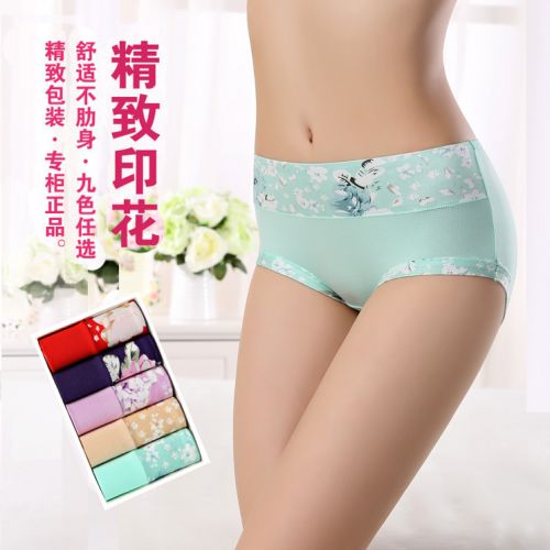 Slip jeunesse luxueux - Ref 640886