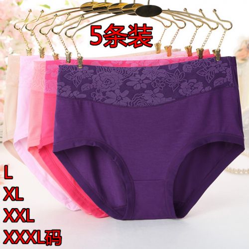 Slip - Ref 640903