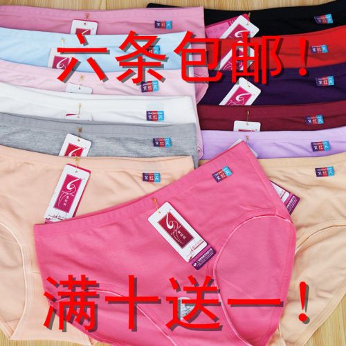 Slip en coton - Ref 640966