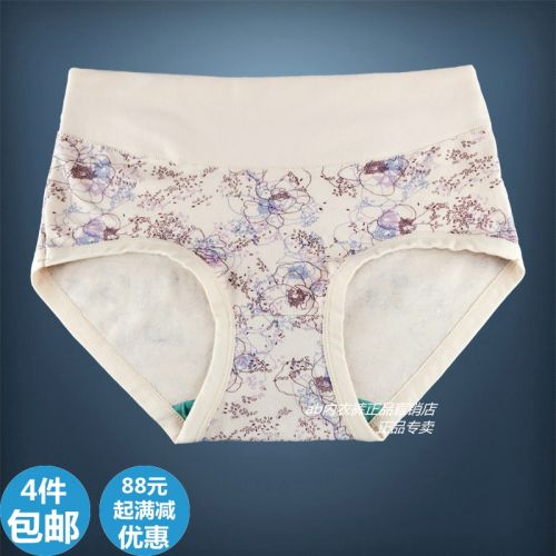 Slip Moyen-âge en coton - Ref 641515