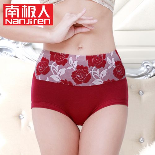  Slip en coton - Ref 641665