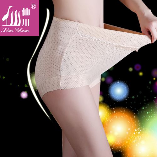 Slip Moyen-âge en coton - Ref 641686