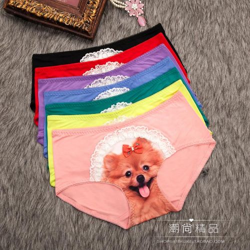 Slip jeunesse en coton - Ref 641847