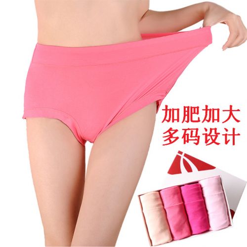 Slip Moyen-âge en coton - Ref 641923