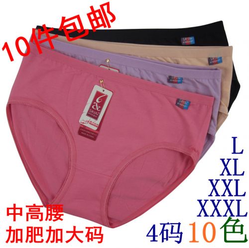 Slip Moyen-âge en coton - Ref 642086