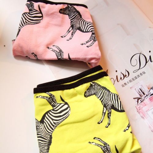 Slip jeunesse mouvement en coton - Ref 642142