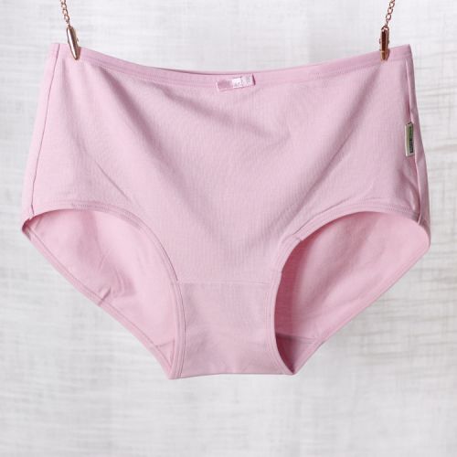 Slip Moyen-âge en coton - Ref 642340