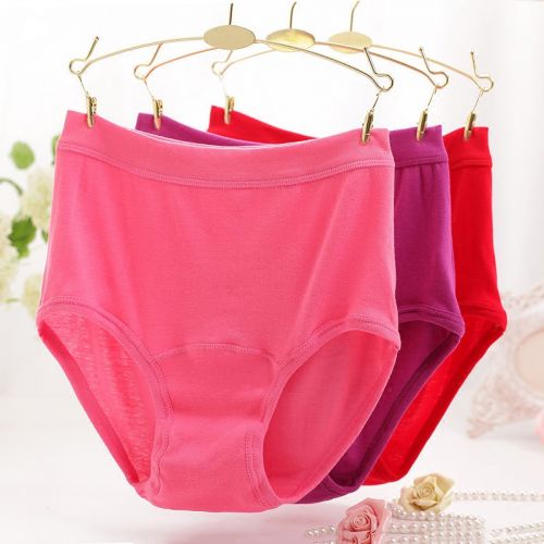 Slip Moyen-âge simple en coton - Ref 642545