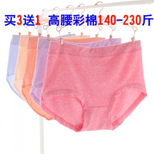 Slip en coton - Ref 642795