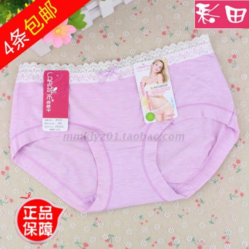 Slip jeunesse en coton - Ref 642816