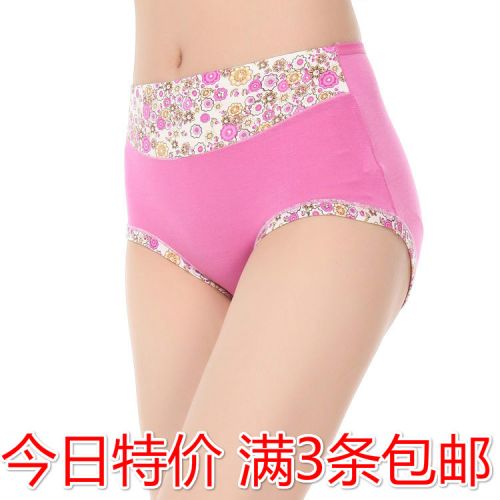 Slip Moyen-âge doux en La fibre de bambou - Ref 642821