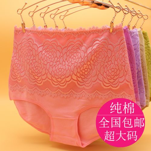 Slip Moyen-âge en coton - Ref 642883