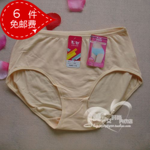 Slip en coton - Ref 642992