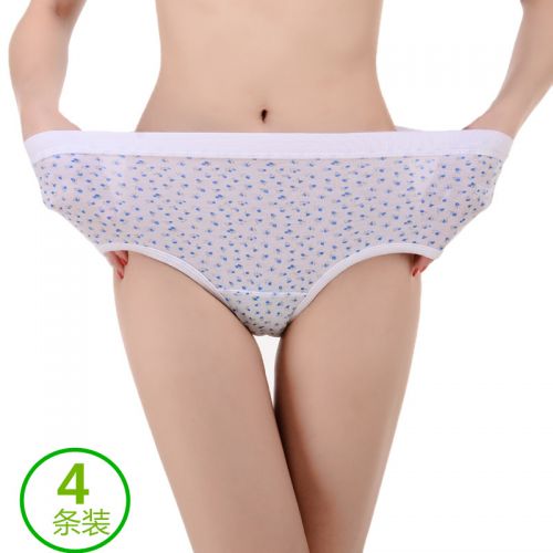 Slip Moyen-âge en coton - Ref 643131