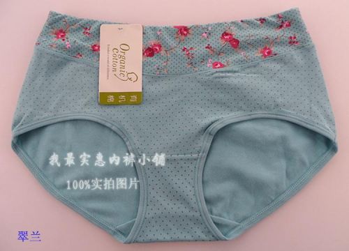 Slip en coton - Ref 643210