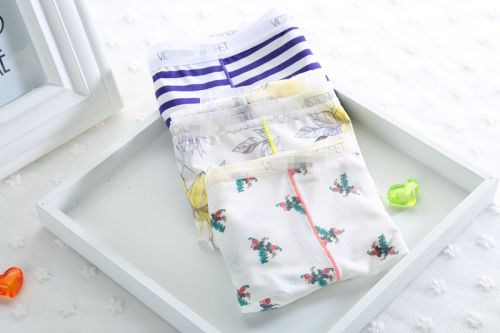 Slip en soie Ice - Ref 643211