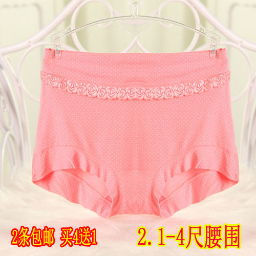 Slip en coton - Ref 643351