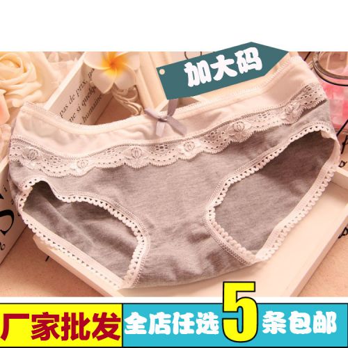 Slip jeunesse simple en coton - Ref 643364