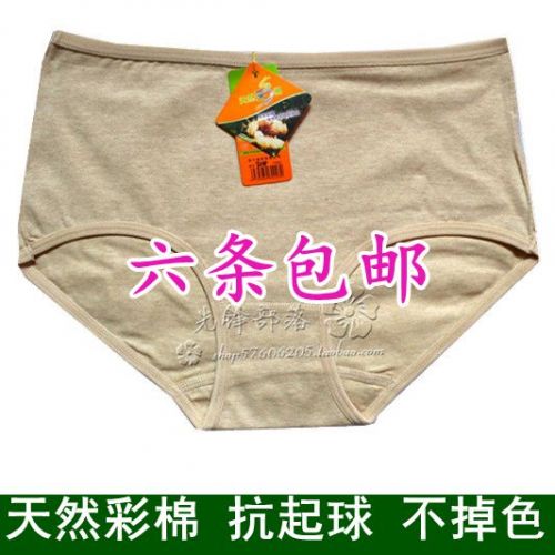 Slip en coton coloré - Ref 643400