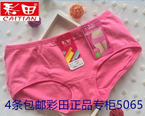 Slip jeunesse en coton - Ref 644155