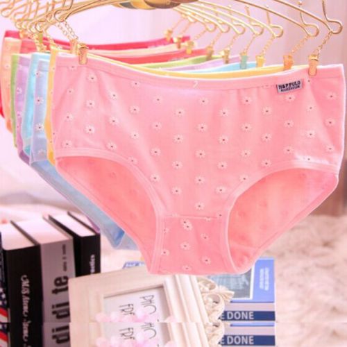 Slip en coton - Ref 644241