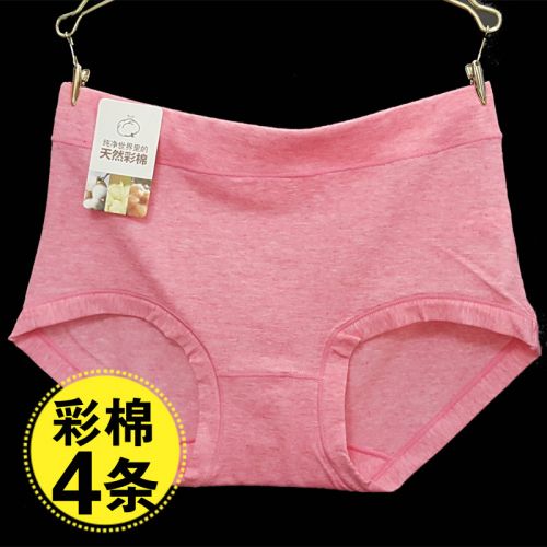 Slip jeunesse en coton coloré - Ref 644284