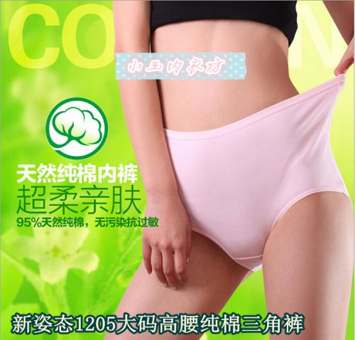 Slip en coton - Ref 644309