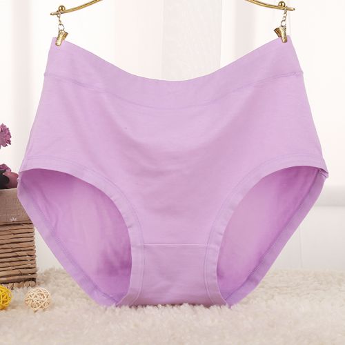  Slip Moyen-âge en coton - Ref 644310