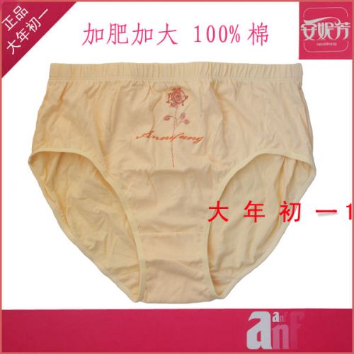 Slip Moyen-âge en coton - Ref 644450