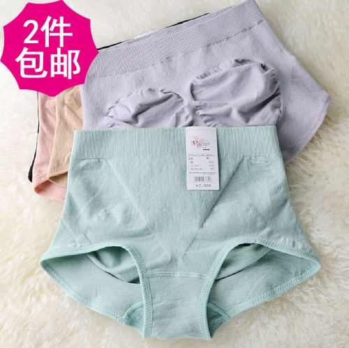 Slip Moyen-âge FIMAGE simple en coton - Ref 644788