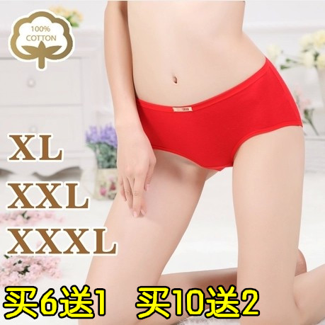 Slip sexy en coton - Ref 645377