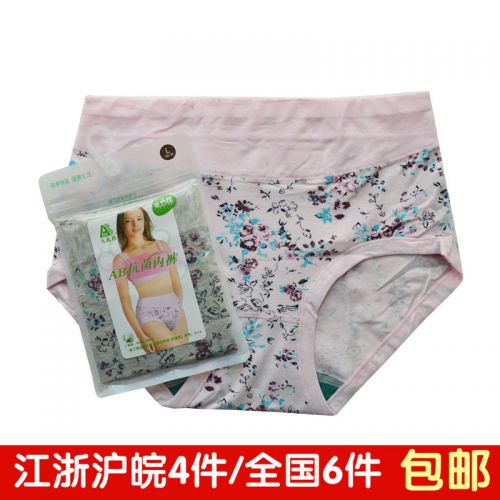 Slip Moyen-âge en coton - Ref 645613