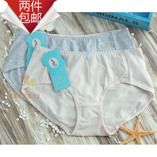 Slip en coton - Ref 646107
