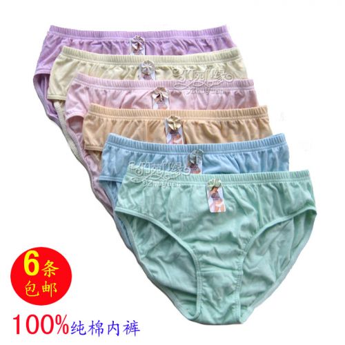 Slip Moyen-âge PROEA simple en coton - Ref 646240