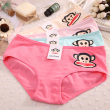 Slip jeunesse en coton - Ref 646497