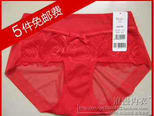 Slip - Ref 646549