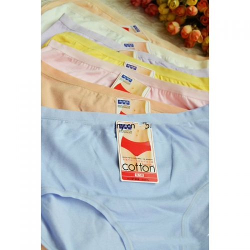 Slip en coton - Ref 646589