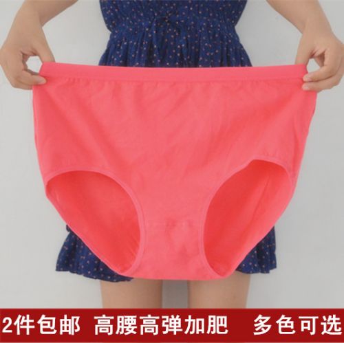 Slip en coton - Ref 646742