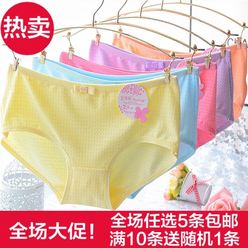 Slip simple en coton - Ref 647648
