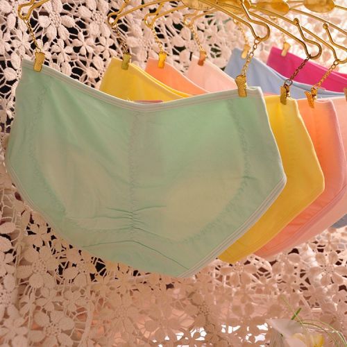  Slip jeune en coton - Ref 647931